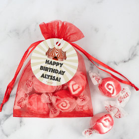 Personalized Circus Birthday Taffy Organza Bags Favor - Carnival