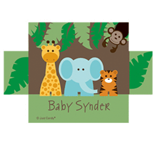 Personalized Baby Shower Jungle Buddies Square Sticker for Chocolate Caramel Sea Salt Gourmet Popcorn