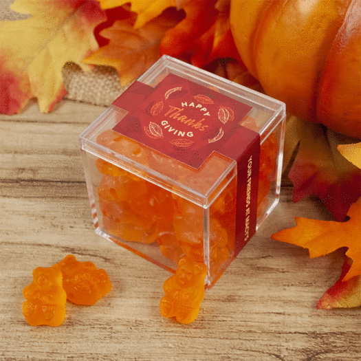 Personalized Thanksgiving JUST CANDY® favor cube with Gummy Bears