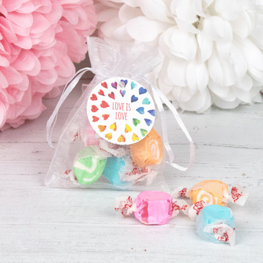 Personalized Taffy Organza Bags Favor - Love is Love Rainbow