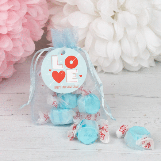 Personalized Valentine's Day Taffy Organza Bags Favor - Blue Love